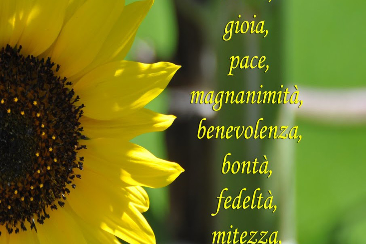 Cos’è che condivido con l’interlocutore ?