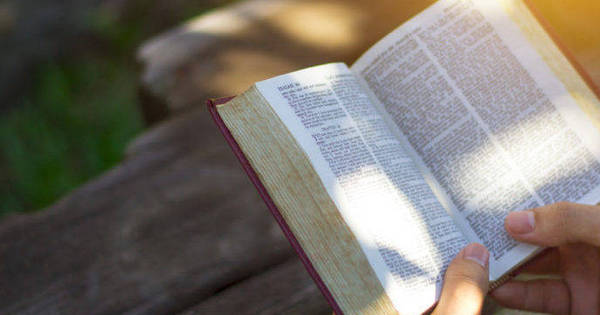 Bibbie, Vangeli e Nuovi Testamenti